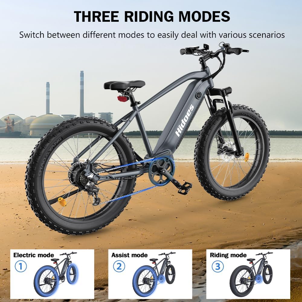 Hidoes Kanpe 1200W Electric Bike for Adults,Hidoes 26" Adult Electric Bicycles for Men,17.5Ah Battery E Bikes for Adult