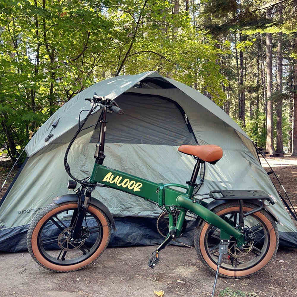 ebike-Auloor NXB Fat Tire Electric Bike
