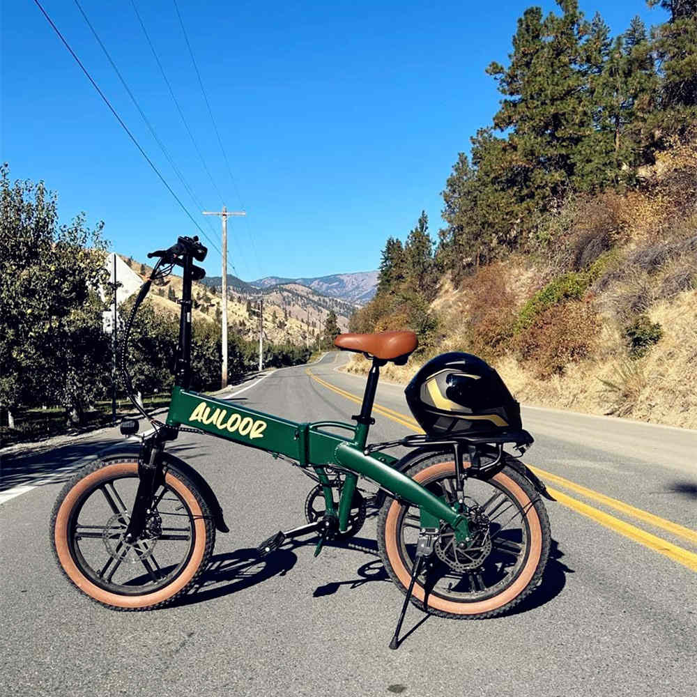 ebike-Auloor NXB Fat Tire Electric Bike