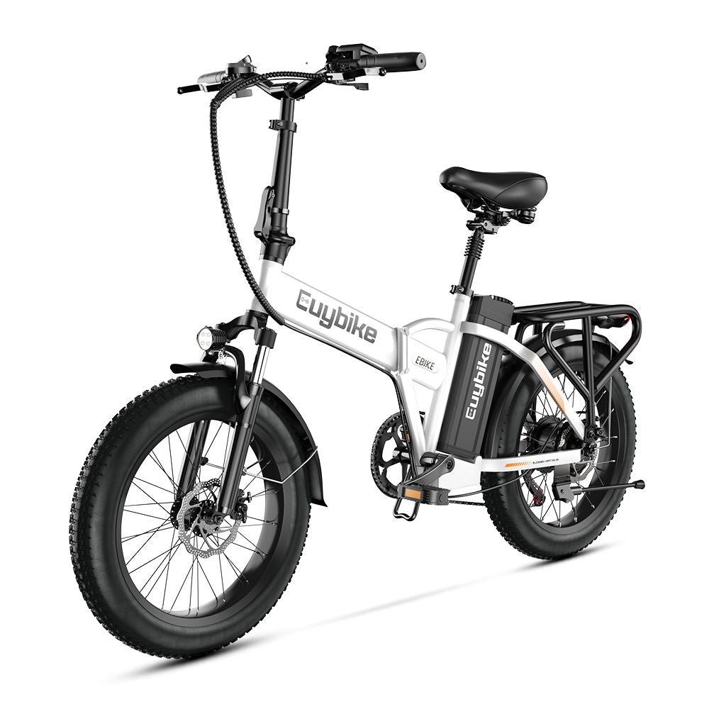 Euy F6 Long Range Fat Tire Electric Bike