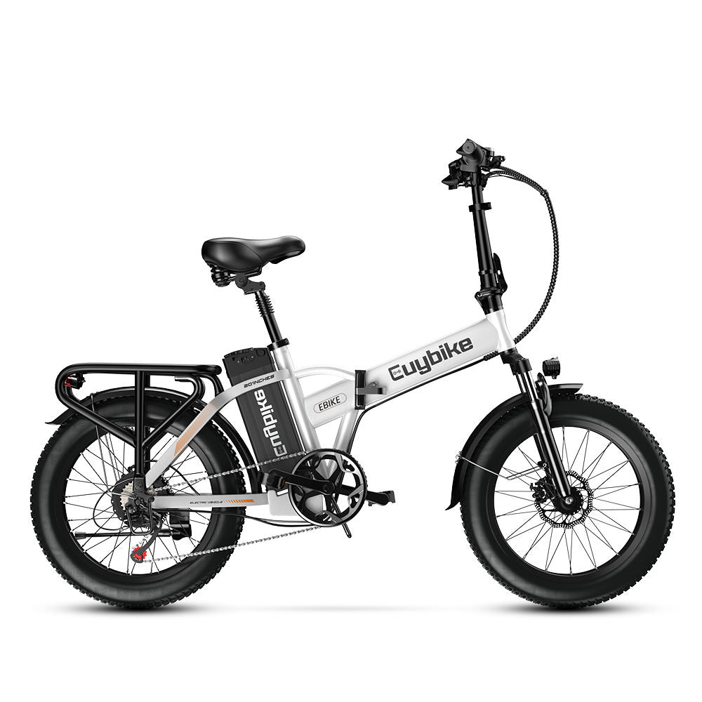 Euy F6 Long Range Fat Tire Electric Bike