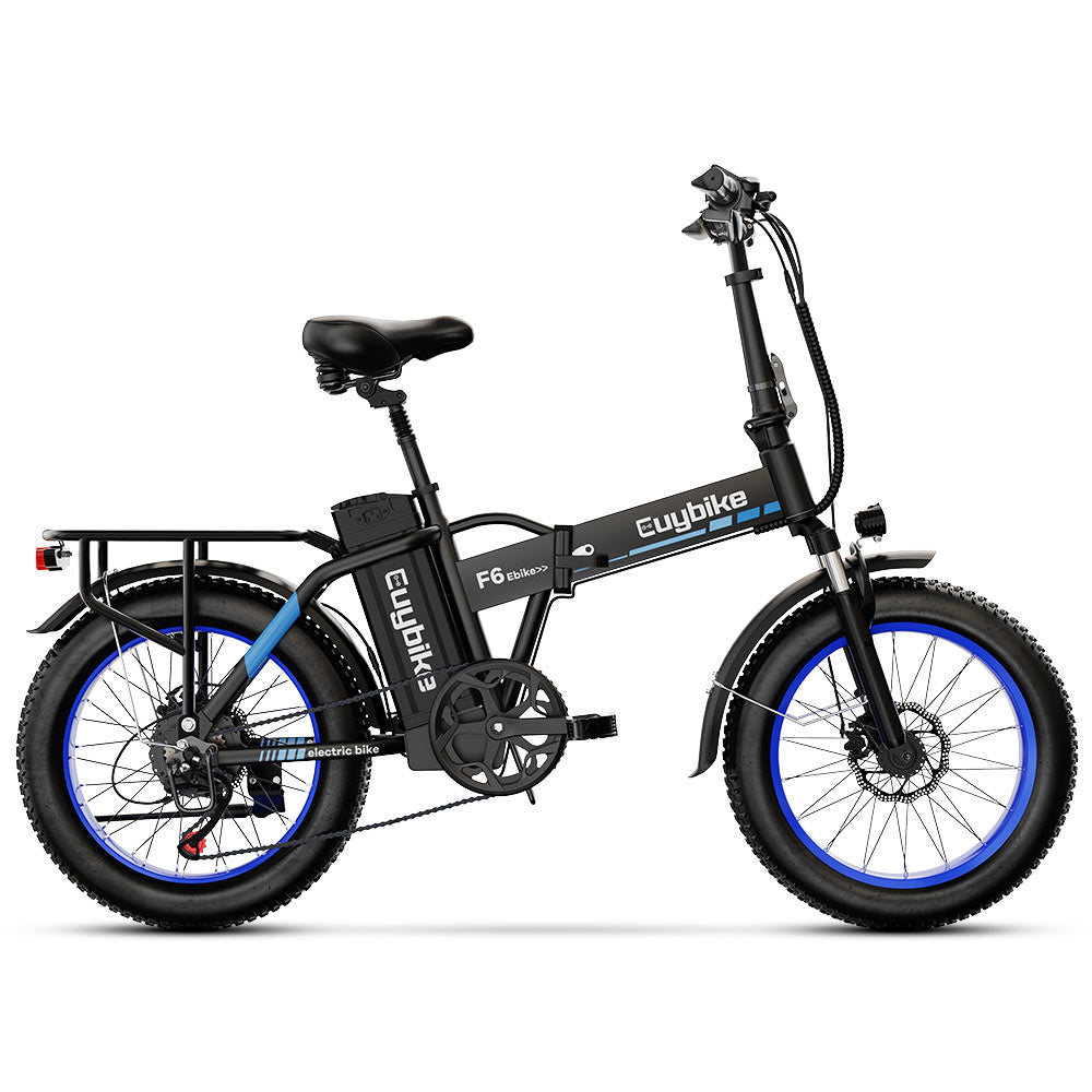 Euy F6 Long Range Fat Tire Electric Bike