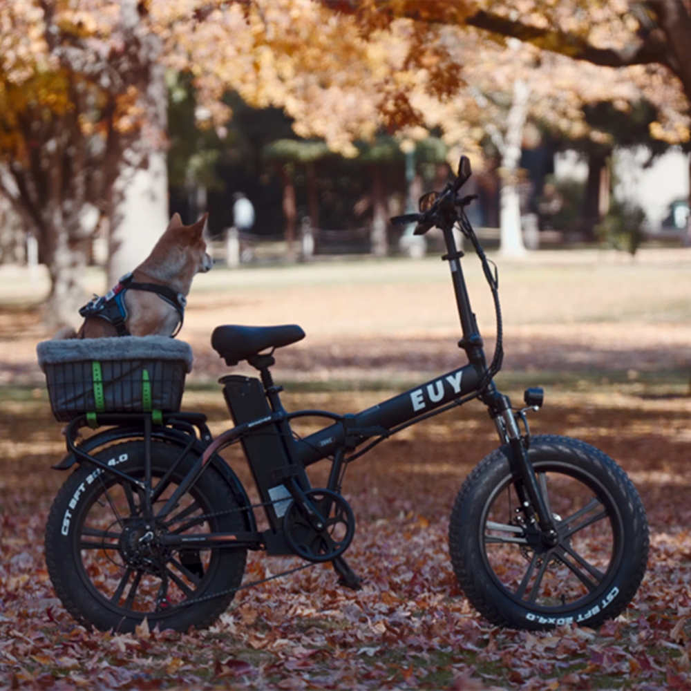 Euy F6 Long Range Fat Tire Electric Bike