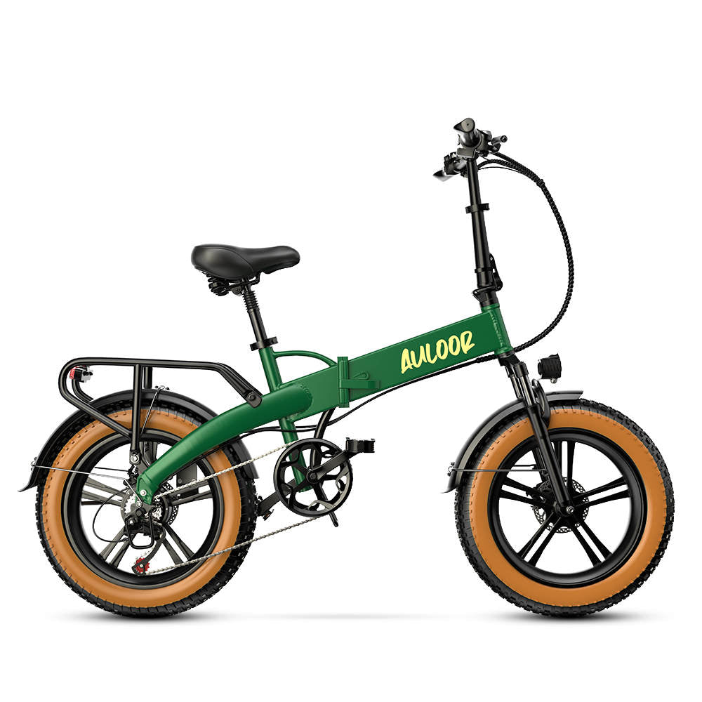 ebike-Auloor NXB Fat Tire Electric Bike