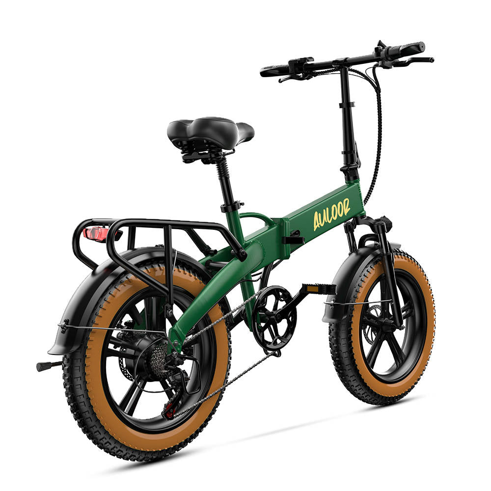 ebike-Auloor NXB Fat Tire Electric Bike
