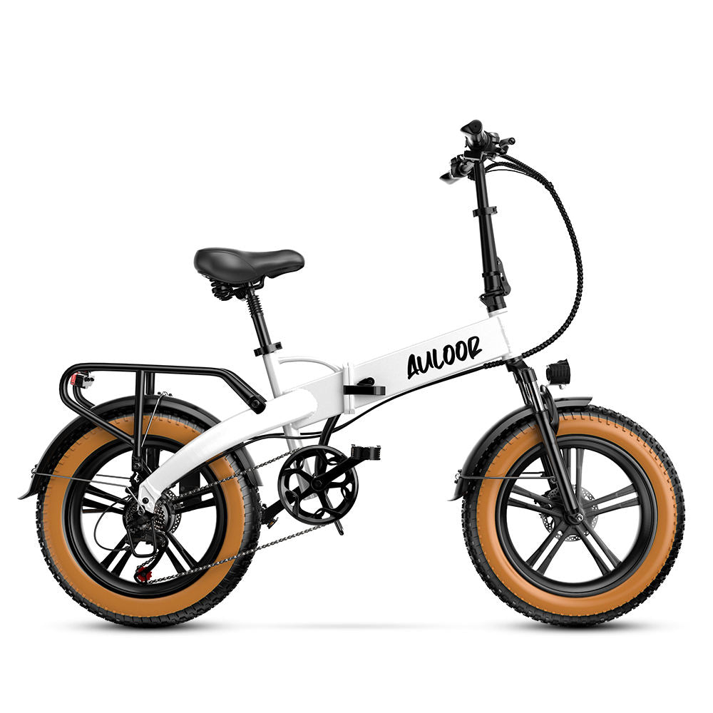 ebike-Auloor NXB Fat Tire Electric Bike