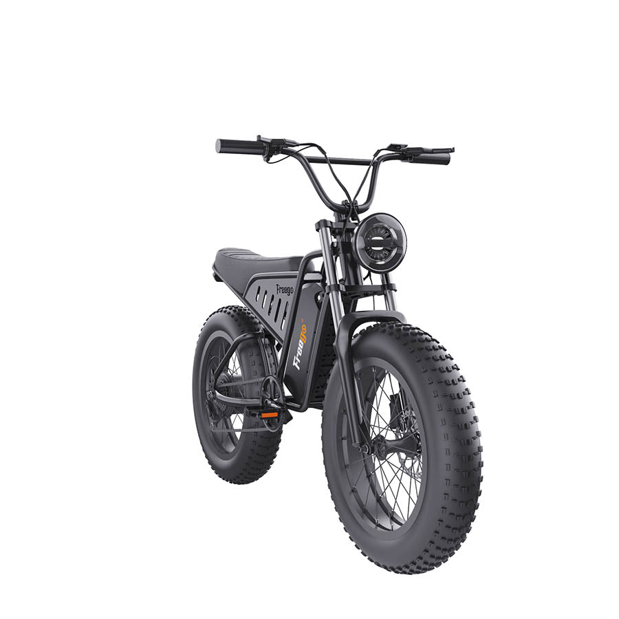 Freego S1 Motorcycle Electric Bike