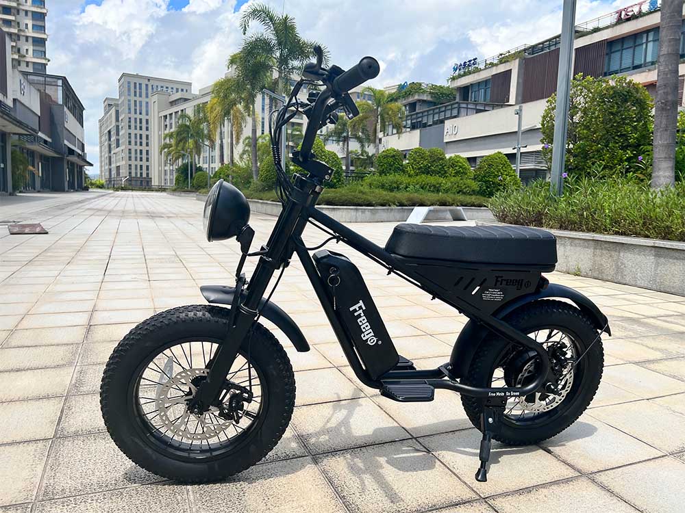 Freego Mini Electric Motorcycle ebike for Child M1