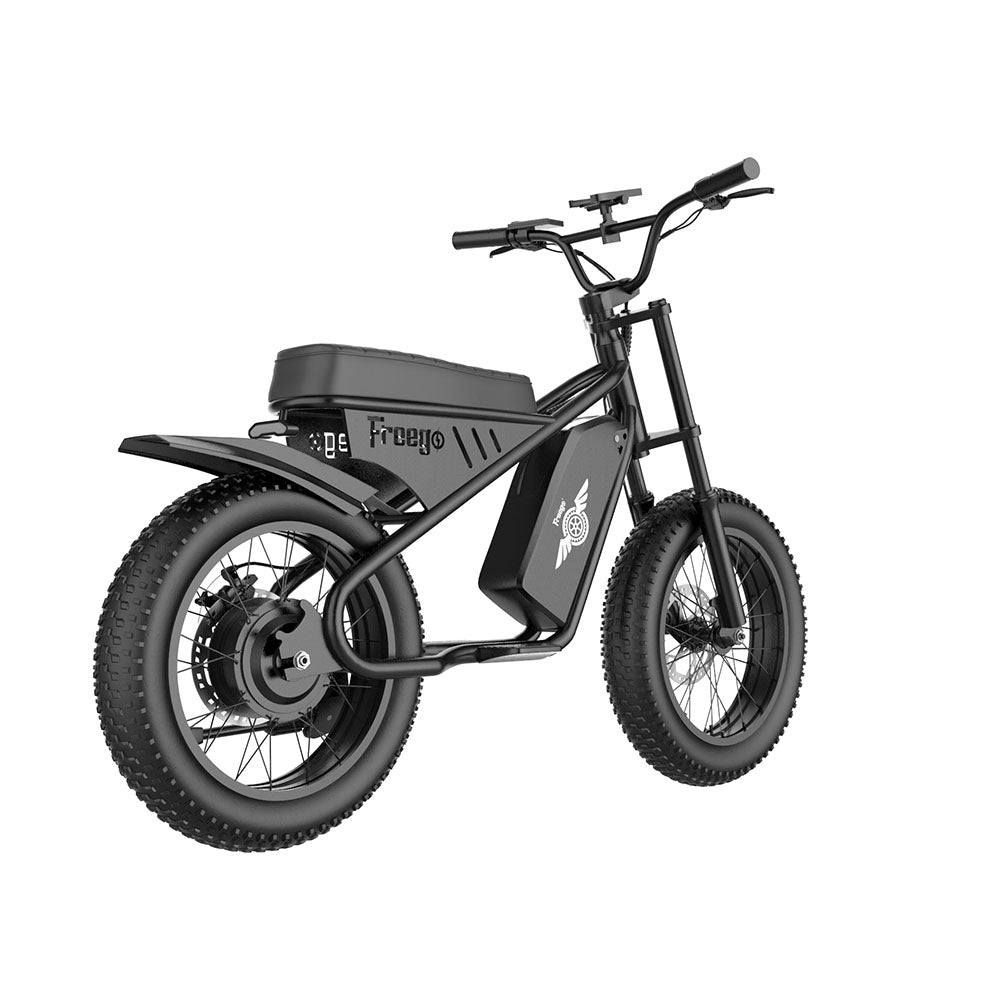 Freego Mini Electric Motorcycle ebike for Child M1