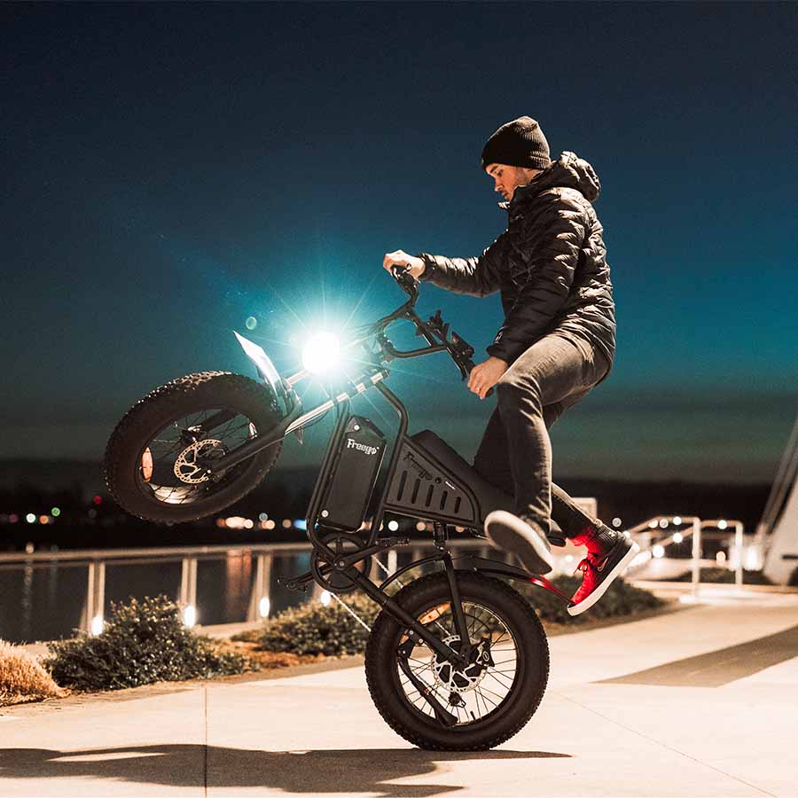 Freego S1 Motorcycle Electric Bike