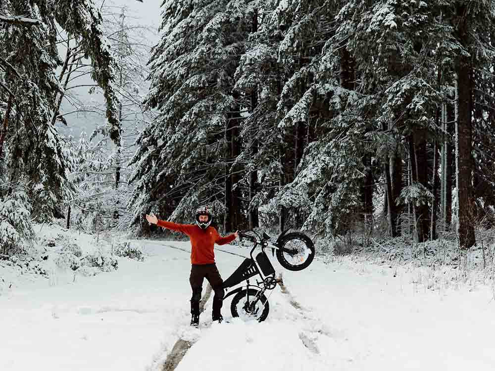 Freego S1 Motorcycle Electric Bike