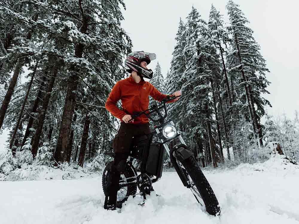 Freego S1 Motorcycle Electric Bike