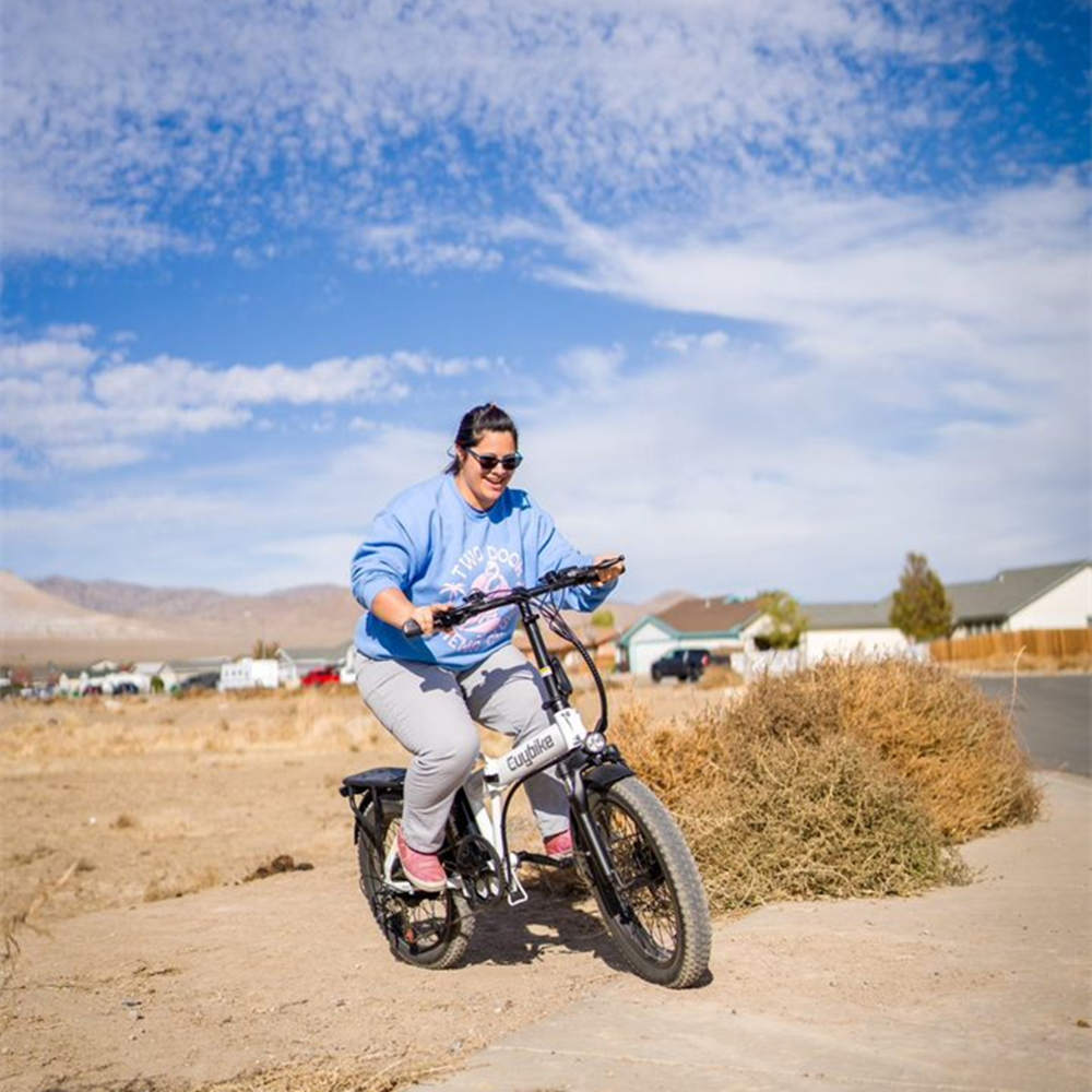 Euy F6 Long Range Fat Tire Electric Bike