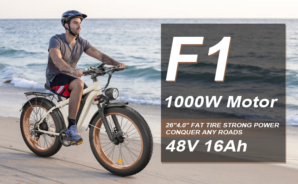 BluVall Zeegr F1 Electric Bike(Dual Motor)