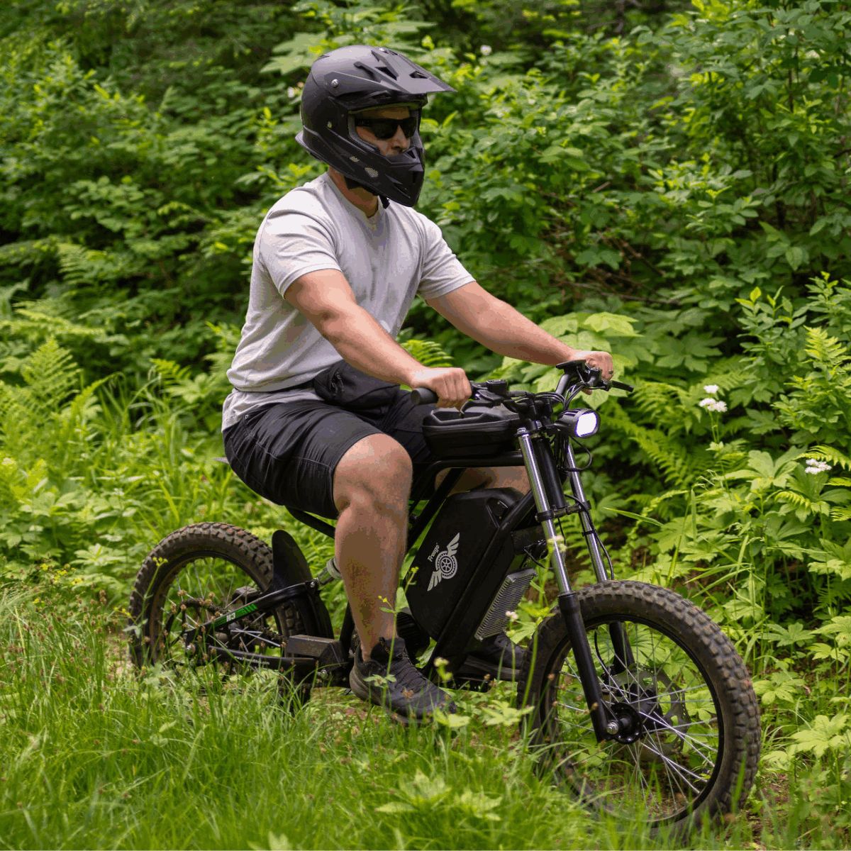 Freego Nova 3 Mid-Drive All-Terrain Dirt eBike