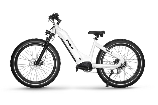 Himiway ebike Zebra Step Through