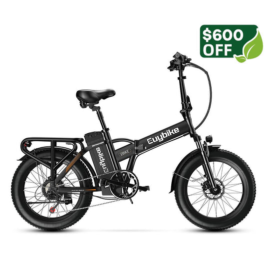 Euy F6 Long Range Fat Tire Electric Bike