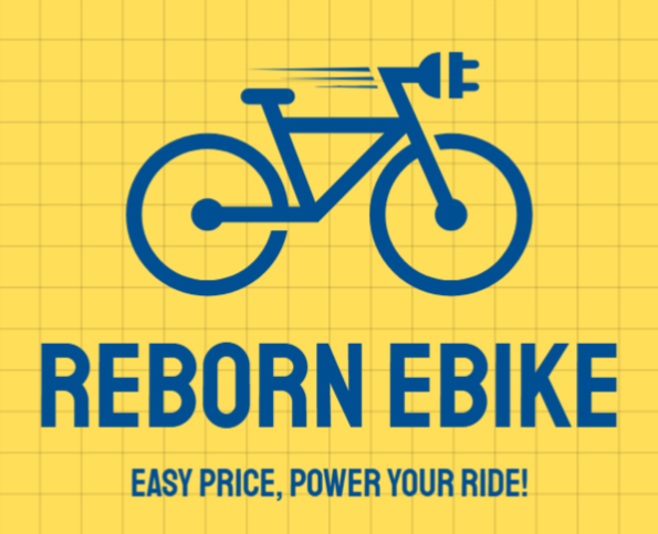 Reborn Ebike