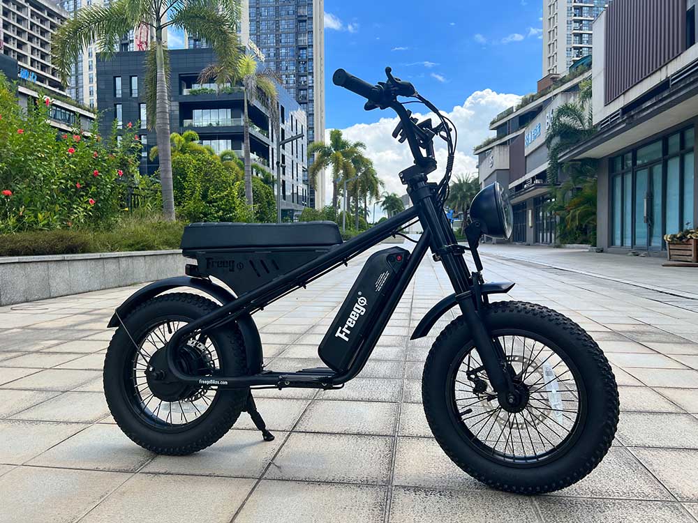 Freego Mini Electric Motorcycle ebike for Child M1