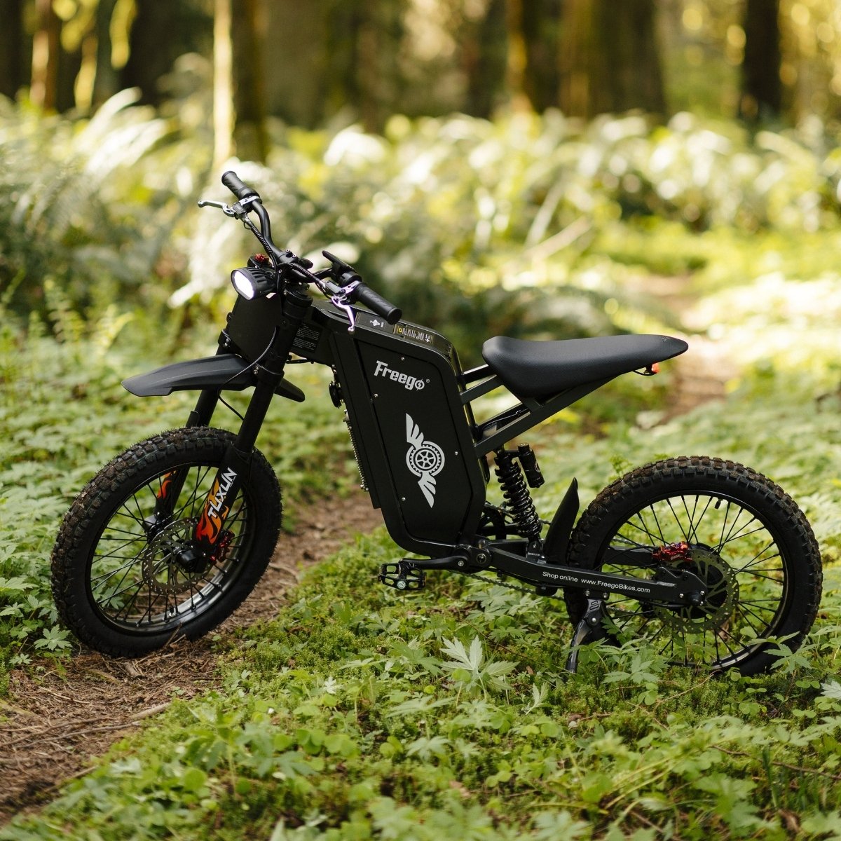 Freego X1 All-Terrain Electric Dirt Bike with Pedals
