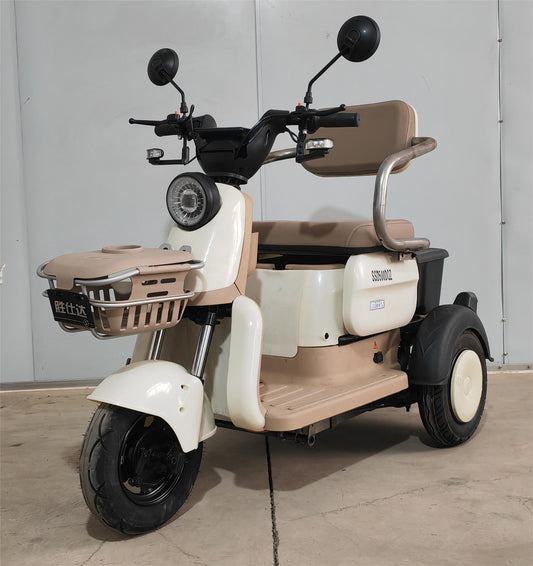 Electric Adult Tricycle Cargo 3 Tricycle